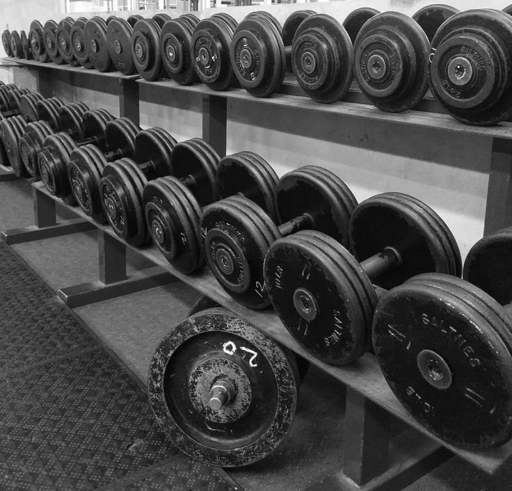 Gym and FItness